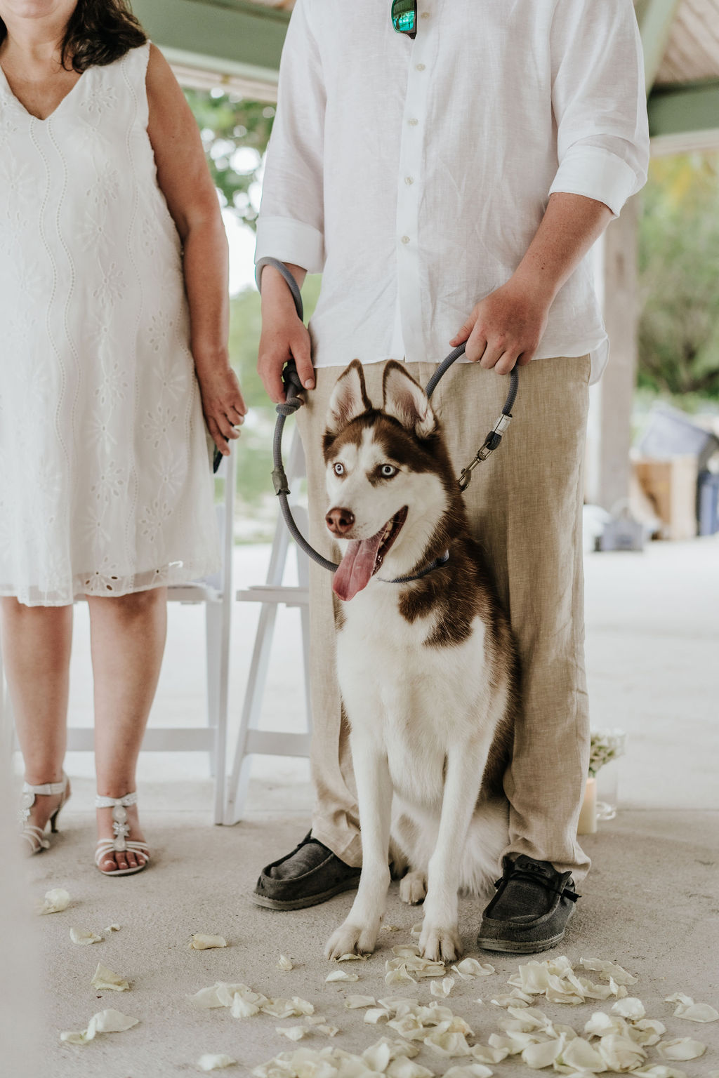 Ashley & Richard — Photo 18